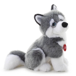 Trudi - Husky M
