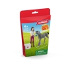 Horse Club - Mme Kramer et son poulain