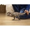 Carcharodontosaurus Schleich