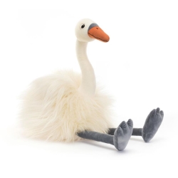 Evelyne le cygne