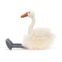 Evelyne le cygne