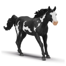 Cheval Hongre  Paint