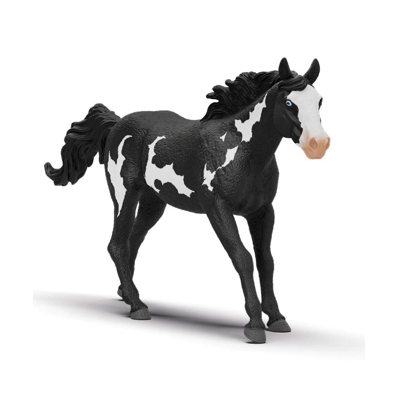 Cheval Hongre  Paint