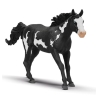 Cheval Hongre  Paint
