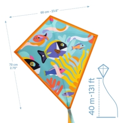 Cerf- volant - Océan