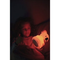 Kidynight - Veilleuse Koala