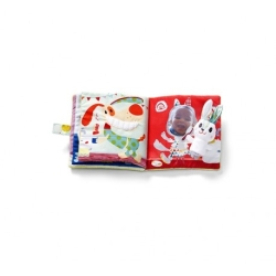 Livre  Petit lapin dentiste