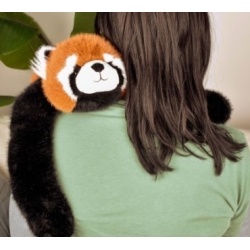 Podcoll - Panda roux