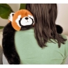 Podcoll - Panda roux