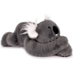 Podcoll - Koala