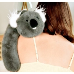 Podcoll - Koala