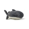 Nemu Nemu - Requin S