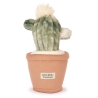 Doudou botanique - Cactus 25 cm