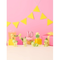Smiski - Série birthday