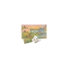 Puzzle 500 pièces -  La grande famille Au bord du lac
