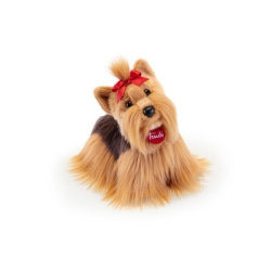 Trudi - Yorkshire S