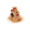 Trudi - Yorkshire S