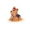 Trudi - Yorkshire S