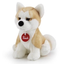 Trudi - Akita S