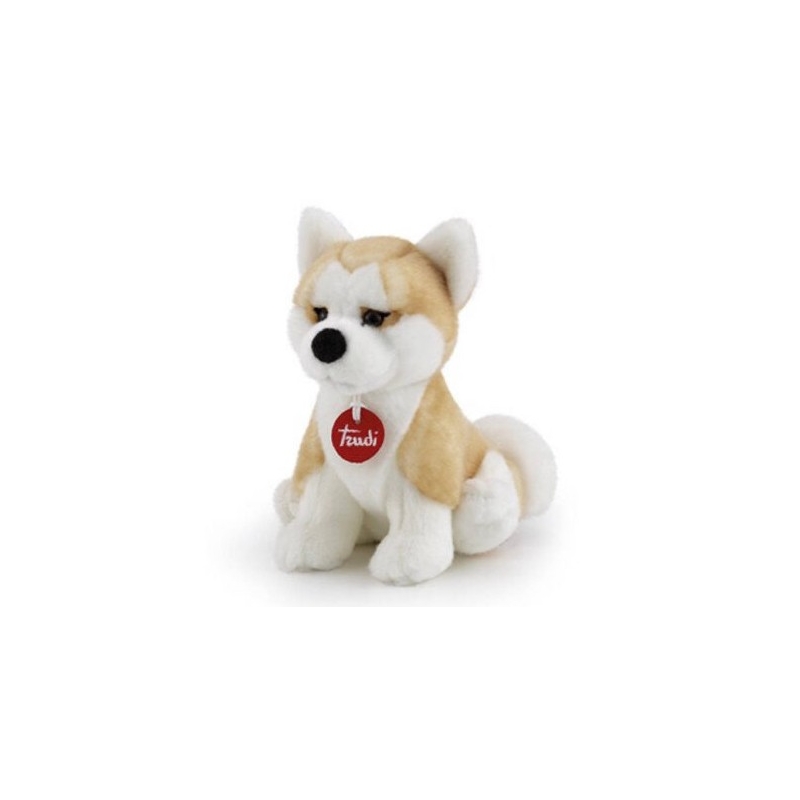 Trudi - Akita S