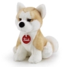 Trudi - Akita S