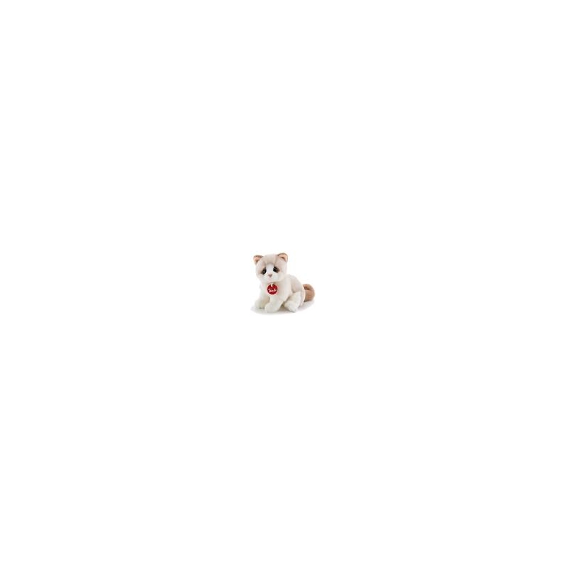 Trudi - Chat beige bicolore