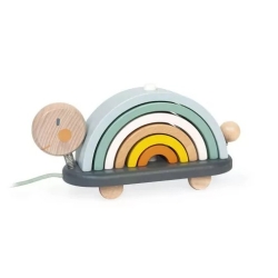 Tortue arc-en-ciel à promener