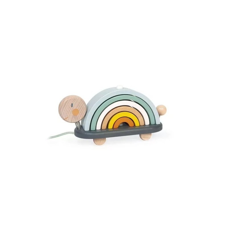 Tortue arc-en-ciel à promener