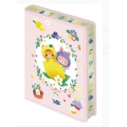 Mini carnet