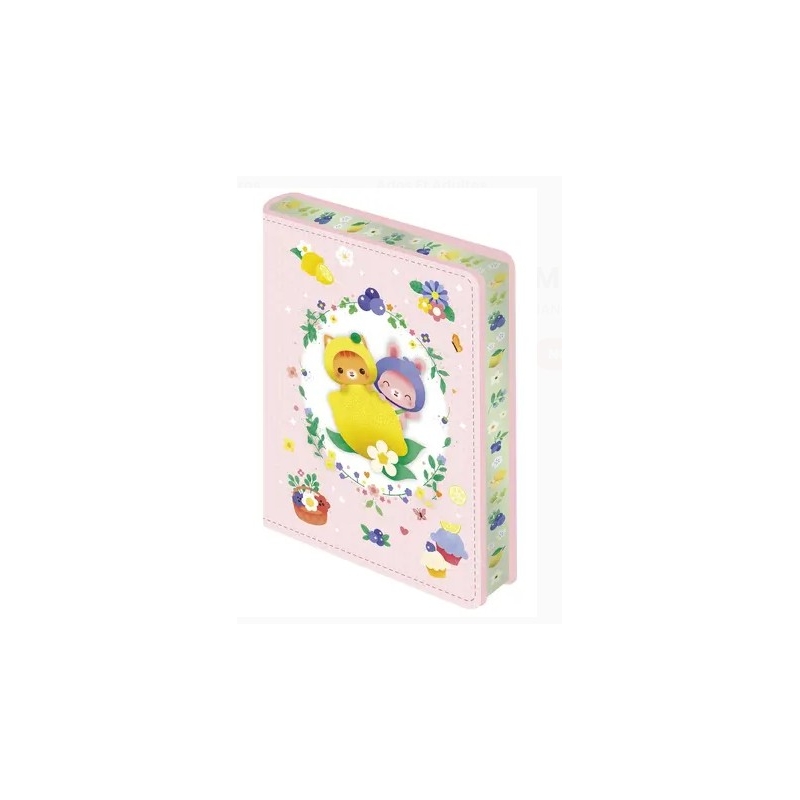 Mini carnet