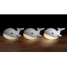 Veilleuse et projecteur d'étoile Willy Whale