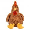 Poule brune Gloria