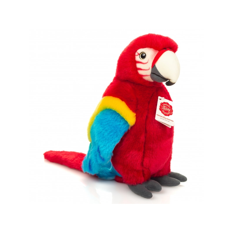 Perroquet Ara rouge