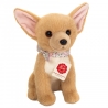 Chihuahua assis 25 cm