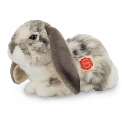 Lapin bélier couché gris et blanc