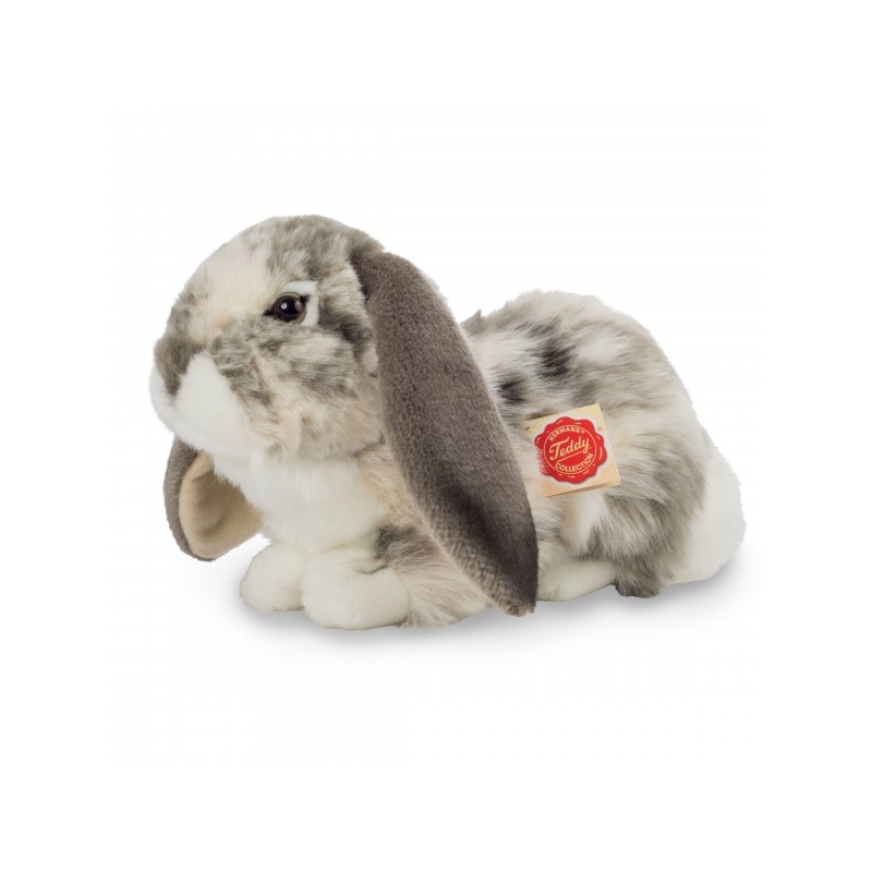 Lapin bélier couché gris et blanc