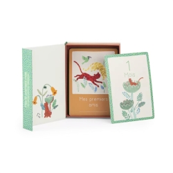 La forêt Mawa - Cartes Mes 12 premiers mois