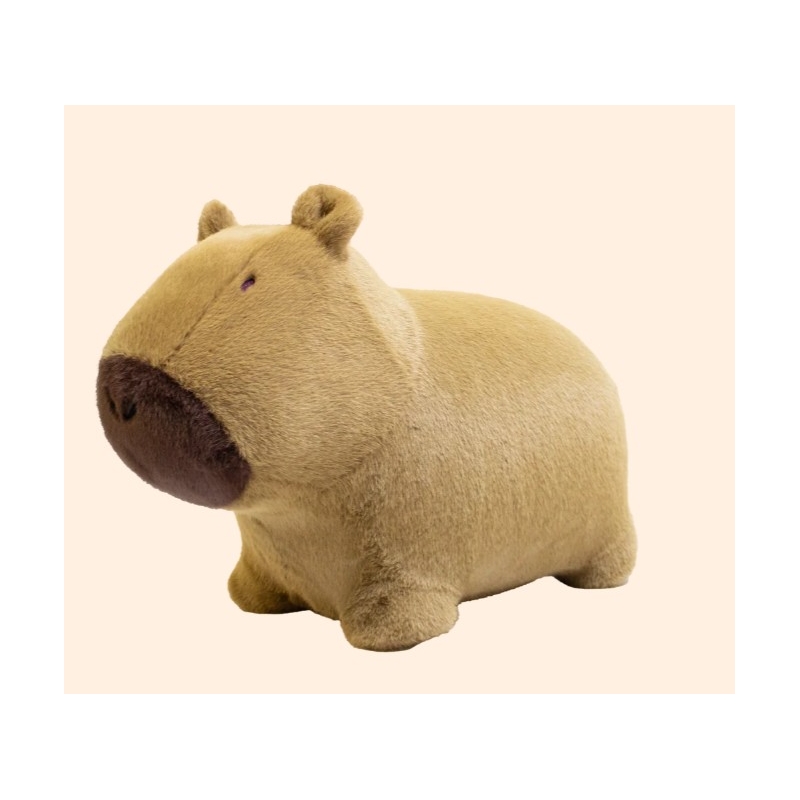 Capybara doux et rebondissant