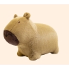 Capybara doux et rebondissant