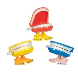 Dentier à remonter