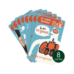 Yoto - Cartes Les BrainBots Le corps humain