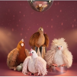 Poulette frisottis