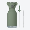 Asobu - Gourde Koala
