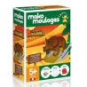 Moulages - Triceratop