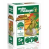 Moulages - Tyrannosaure