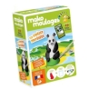 Moulages - Panda géant