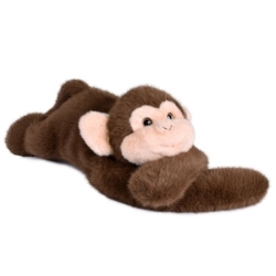 Podcoll - Singe