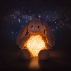 Hoppie -  lapin lumineux  28 cm
