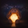 Hoppie -  lapin lumineux  28 cm