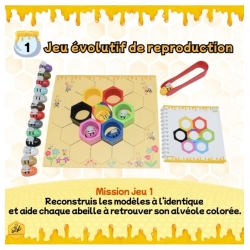 Alvéocolor - Motricité fine et reproduction